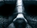 Prometheus Uncensored with Charlize Theron, Michael Fassbender & Ridley Scott